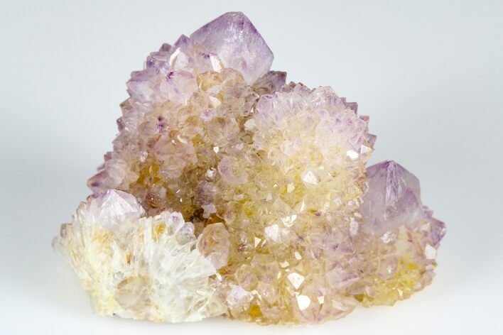 Cactus Quartz (Amethyst) Crystal Cluster- South Africa #183026